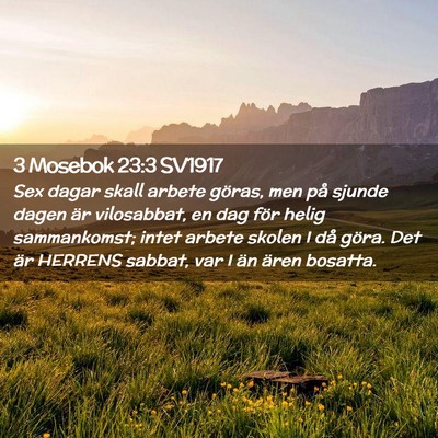 Picture 02 - 3 Mosebok 23:3 SV1917 - Sex dagar skall arbete göras, men på sjunde - Bible Verse Picture
