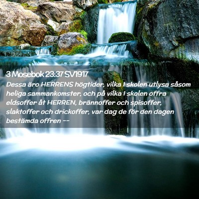 Picture 02 - 3 Mosebok 23:37 SV1917 - Dessa äro HERRENS högtider, vilka I skolen - Bible Verse Picture