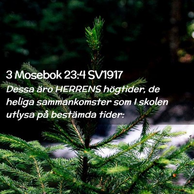 Picture 02 - 3 Mosebok 23:4 SV1917 - Dessa äro HERRENS högtider, de heliga - Bible Verse Picture
