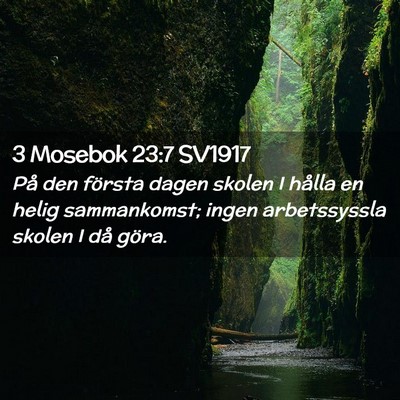 Picture 02 - 3 Mosebok 23:7 SV1917 - På den första dagen skolen I hålla en helig - Bible Verse Picture