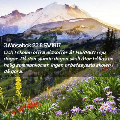 Picture 02 - 3 Mosebok 23:8 SV1917 - Och I skolen offra eldsoffer åt HERREN i sju - Bible Verse Picture