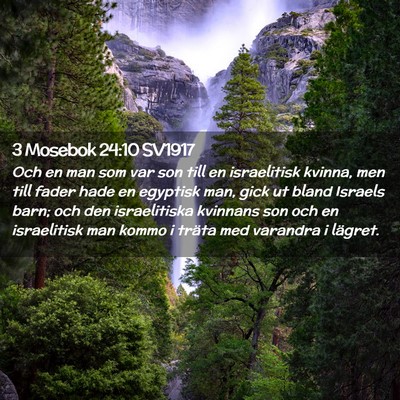 Picture 02 - 3 Mosebok 24:10 SV1917 - Och en man som var son till en israelitisk - Bible Verse Picture