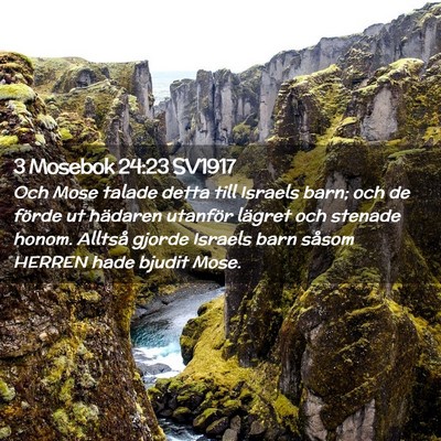 Picture 02 - 3 Mosebok 24:23 SV1917 - Och Mose talade detta till Israels barn; och de - Bible Verse Picture