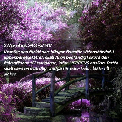 Picture 02 - 3 Mosebok 24:3 SV1917 - Utanför den förlåt som hänger framför - Bible Verse Picture