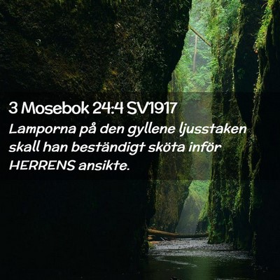 Picture 02 - 3 Mosebok 24:4 SV1917 - Lamporna på den gyllene ljusstaken skall han - Bible Verse Picture