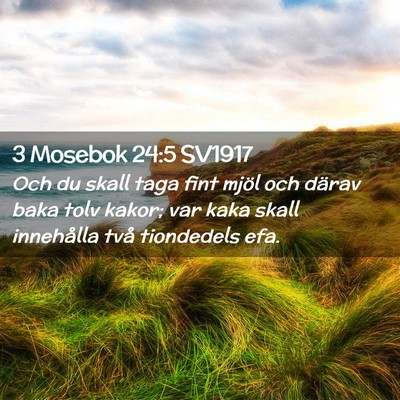 Picture 02 - 3 Mosebok 24:5 SV1917 - Och du skall taga fint mjöl och därav baka tolv - Bible Verse Picture