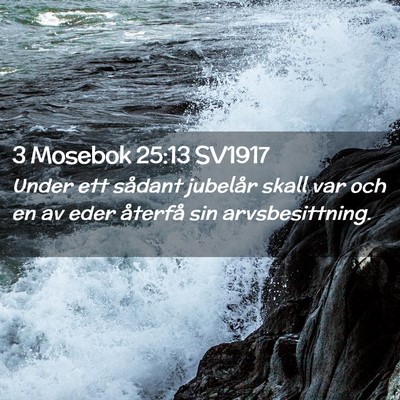 Picture 02 - 3 Mosebok 25:13 SV1917 - Under ett sådant jubelår skall var och en av - Bible Verse Picture