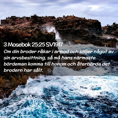 Picture 02 - 3 Mosebok 25:25 SV1917 - Om din broder råkar i armod och säljer något - Bible Verse Picture