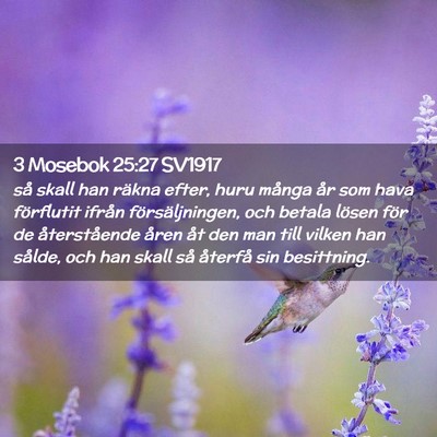 Picture 02 - 3 Mosebok 25:27 SV1917 - så skall han räkna efter, huru många år som - Bible Verse Picture