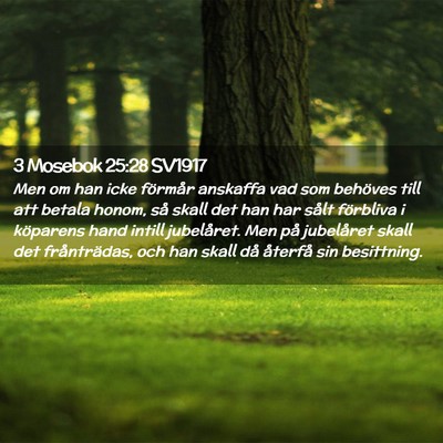 Picture 02 - 3 Mosebok 25:28 SV1917 - Men om han icke förmår anskaffa vad som - Bible Verse Picture
