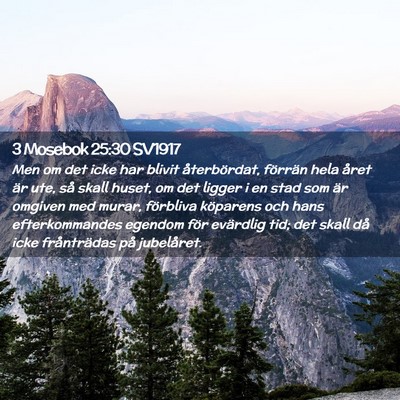 Picture 02 - 3 Mosebok 25:30 SV1917 - Men om det icke har blivit återbördat, förrän - Bible Verse Picture