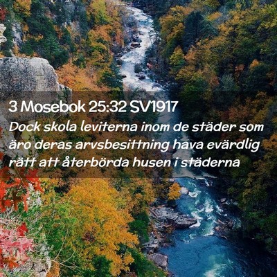Picture 02 - 3 Mosebok 25:32 SV1917 - Dock skola leviterna inom de städer som äro - Bible Verse Picture