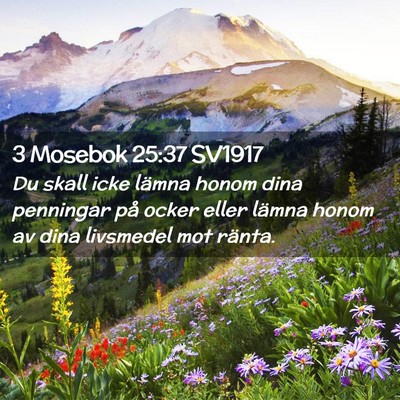 Picture 02 - 3 Mosebok 25:37 SV1917 - Du skall icke lämna honom dina penningar på - Bible Verse Picture