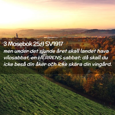 Picture 02 - 3 Mosebok 25:4 SV1917 - men under det sjunde året skall landet hava - Bible Verse Picture