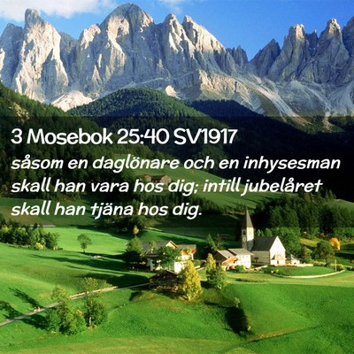 Picture 02 - 3 Mosebok 25:40 SV1917 - såsom en daglönare och en inhysesman skall han - Bible Verse Picture