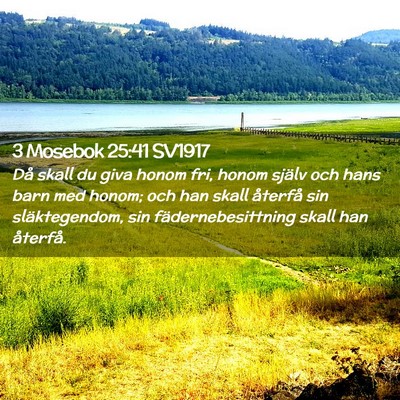 Picture 02 - 3 Mosebok 25:41 SV1917 - Då skall du giva honom fri, honom själv och - Bible Verse Picture
