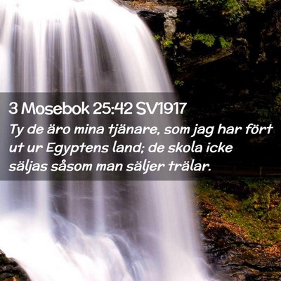 Picture 02 - 3 Mosebok 25:42 SV1917 - Ty de äro mina tjänare, som jag har fört ut ur - Bible Verse Picture