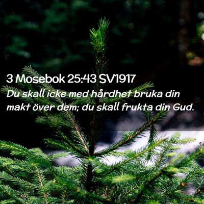 Picture 02 - 3 Mosebok 25:43 SV1917 - Du skall icke med hårdhet bruka din makt över - Bible Verse Picture