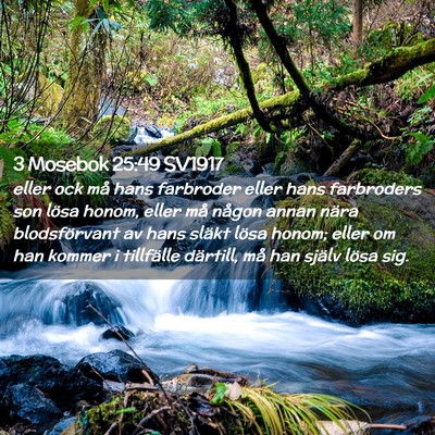 Picture 02 - 3 Mosebok 25:49 SV1917 - eller ock må hans farbroder eller hans - Bible Verse Picture