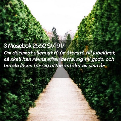 Picture 02 - 3 Mosebok 25:52 SV1917 - Om däremot allenast få år återstå till - Bible Verse Picture