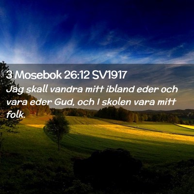 Picture 02 - 3 Mosebok 26:12 SV1917 - Jag skall vandra mitt ibland eder och vara eder - Bible Verse Picture