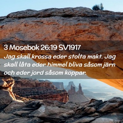 Picture 02 - 3 Mosebok 26:19 SV1917 - Jag skall krossa eder stolta makt. Jag skall - Bible Verse Picture
