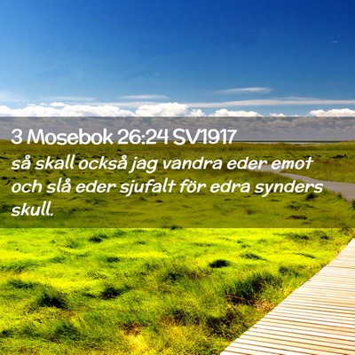 Picture 02 - 3 Mosebok 26:24 SV1917 - så skall också jag vandra eder emot och slå - Bible Verse Picture