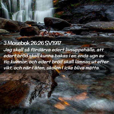 Picture 02 - 3 Mosebok 26:26 SV1917 - Jag skall så fördärva edert livsuppehälle, - Bible Verse Picture
