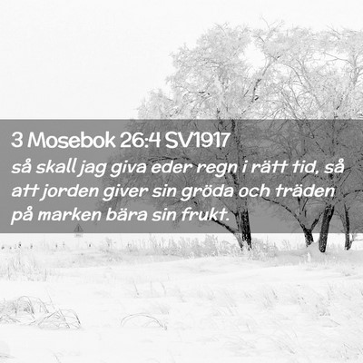 Picture 02 - 3 Mosebok 26:4 SV1917 - så skall jag giva eder regn i rätt tid, så att - Bible Verse Picture