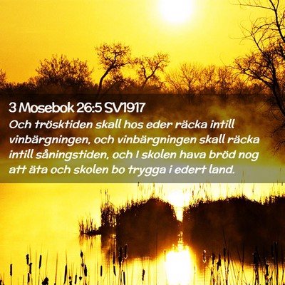 Picture 02 - 3 Mosebok 26:5 SV1917 - Och trösktiden skall hos eder räcka intill - Bible Verse Picture
