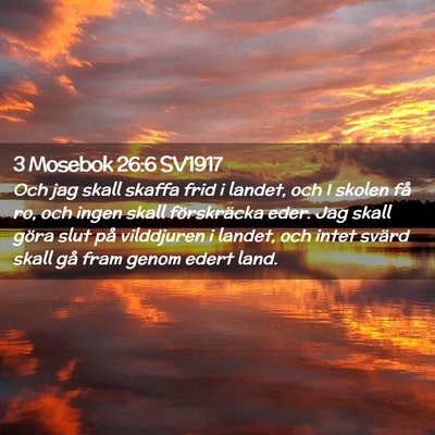Picture 02 - 3 Mosebok 26:6 SV1917 - Och jag skall skaffa frid i landet, och I skolen - Bible Verse Picture
