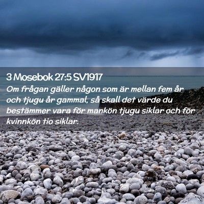 Picture 02 - 3 Mosebok 27:5 SV1917 - Om frågan gäller någon som är mellan fem år - Bible Verse Picture