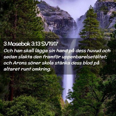 Picture 02 - 3 Mosebok 3:13 SV1917 - Och han skall lägga sin hand på dess huvud och - Bible Verse Picture