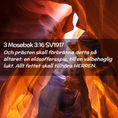 Picture 02 - 3 Mosebok 3:16 SV1917 - Och prästen skall förbränna detta på altaret: - Bible Verse Picture