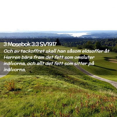 Picture 02 - 3 Mosebok 3:3 SV1917 - Och av tackoffret skall han såsom eldsoffer åt - Bible Verse Picture