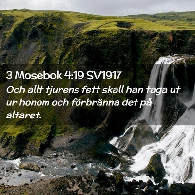 Picture 02 - 3 Mosebok 4:19 SV1917 - Och allt tjurens fett skall han taga ut ur honom - Bible Verse Picture