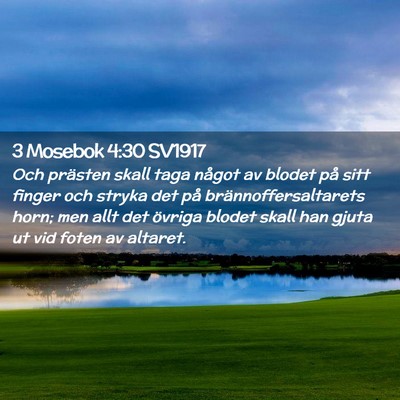 Picture 02 - 3 Mosebok 4:30 SV1917 - Och prästen skall taga något av blodet på sitt - Bible Verse Picture