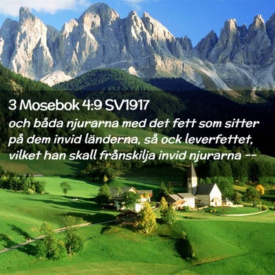 Picture 02 - 3 Mosebok 4:9 SV1917 - och båda njurarna med det fett som sitter på - Bible Verse Picture