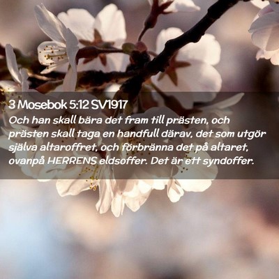 Picture 02 - 3 Mosebok 5:12 SV1917 - Och han skall bära det fram till prästen, och - Bible Verse Picture