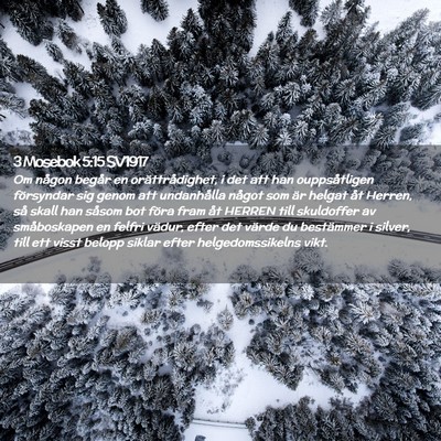 Picture 02 - 3 Mosebok 5:15 SV1917 - Om någon begår en orättrådighet, i det att - Bible Verse Picture
