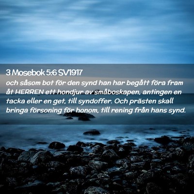 Picture 02 - 3 Mosebok 5:6 SV1917 - och såsom bot för den synd han har begått - Bible Verse Picture