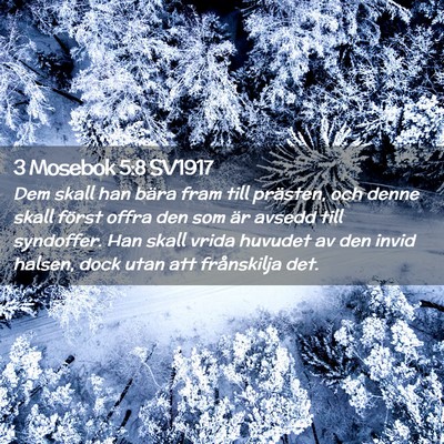 Picture 02 - 3 Mosebok 5:8 SV1917 - Dem skall han bära fram till prästen, och denne - Bible Verse Picture