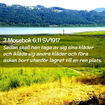 Picture 02 - 3 Mosebok 6:11 SV1917 - Sedan skall han taga av sig sina kläder och - Bible Verse Picture