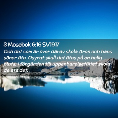 Picture 02 - 3 Mosebok 6:16 SV1917 - Och det som är över därav skola Aron och hans - Bible Verse Picture