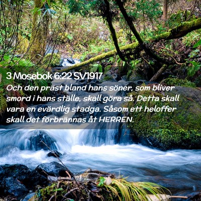 Picture 02 - 3 Mosebok 6:22 SV1917 - Och den präst bland hans söner, som bliver - Bible Verse Picture