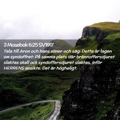 Picture 02 - 3 Mosebok 6:25 SV1917 - Tala till Aron och hans söner och säg: Detta - Bible Verse Picture