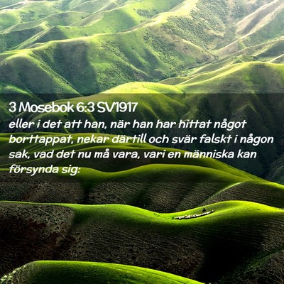 Picture 02 - 3 Mosebok 6:3 SV1917 - eller i det att han, när han har hittat något - Bible Verse Picture