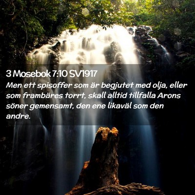 Picture 02 - 3 Mosebok 7:10 SV1917 - Men ett spisoffer som är begjutet med olja, - Bible Verse Picture