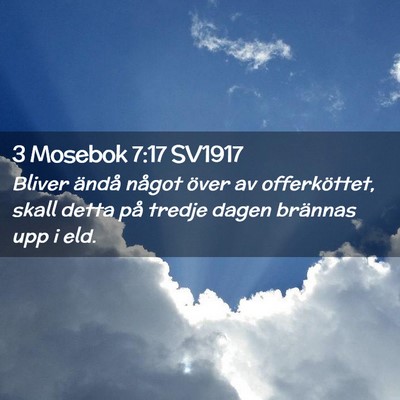Picture 02 - 3 Mosebok 7:17 SV1917 - Bliver ändå något över av offerköttet, skall - Bible Verse Picture