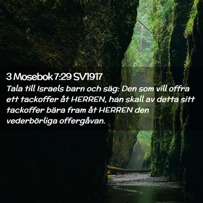 Picture 02 - 3 Mosebok 7:29 SV1917 - Tala till Israels barn och säg: Den som vill - Bible Verse Picture